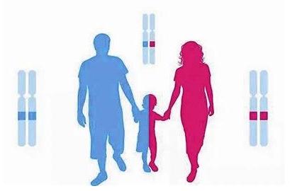 成都律所咨询,中络宏博律所